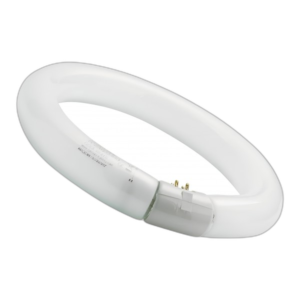 DE040140 Néon circline ultra violet anti-éclat 22 w