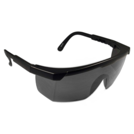 LP010401 
Lunette de protection monobloc teintée