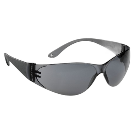 LP010701 
Lunette de protection monobloc teintée