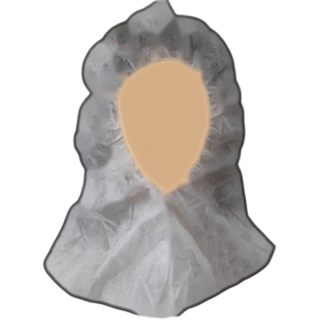 UU030300 
Cagoule à usage unique en PP non-tissé